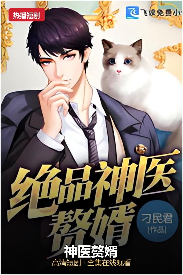 神医赘婿